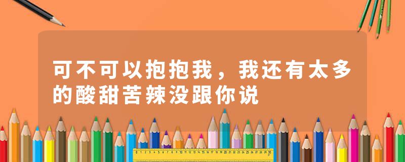 可不可以抱抱我，我还有太多的酸甜苦辣没跟你说