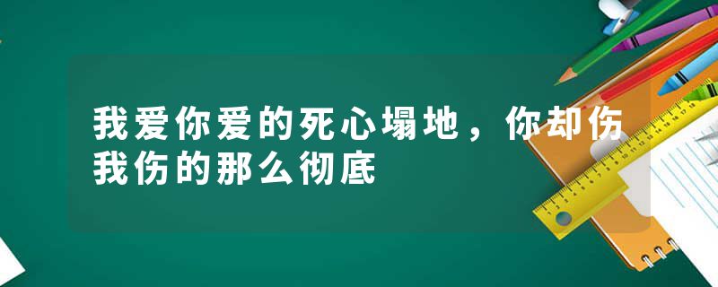 我爱你爱的死心塌地，你却伤我伤的那么彻底
