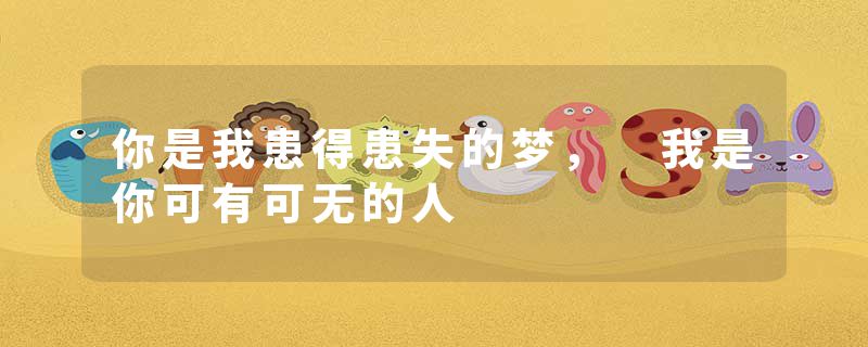 你是我患得患失的梦, 我是你可有可无的人