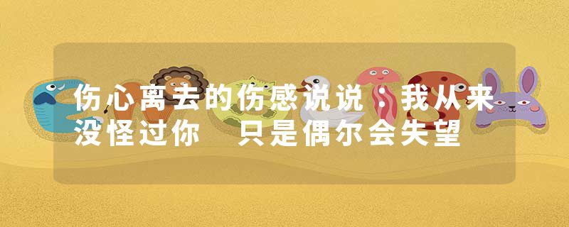 伤心离去的伤感说说：我从来没怪过你 只是偶尔会失望