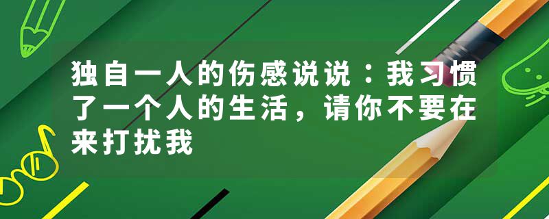 独自一人的伤感说说:我习惯了一个人的生活,请你不要在来打扰我