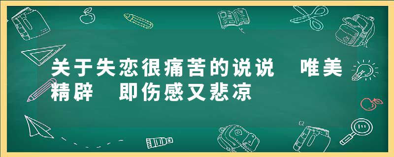 关于失恋很痛苦的说说 唯美精辟 即伤感又悲凉