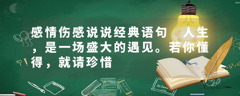 感情伤感说说经典语句 人生，是一场盛大的遇见。若你懂得，就请珍惜