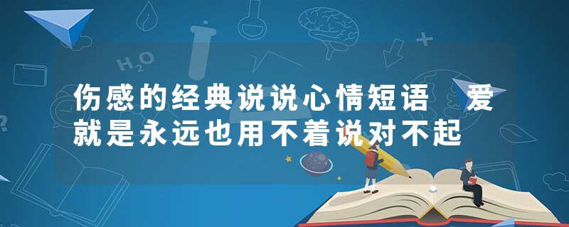 伤感的经典说说心情短语 爱就是永远也用不着说对不起