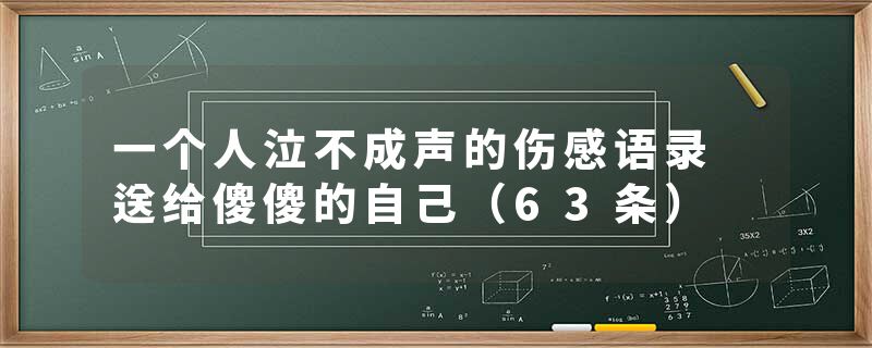 一个人泣不成声的伤感语录 送给傻傻的自己（63条）