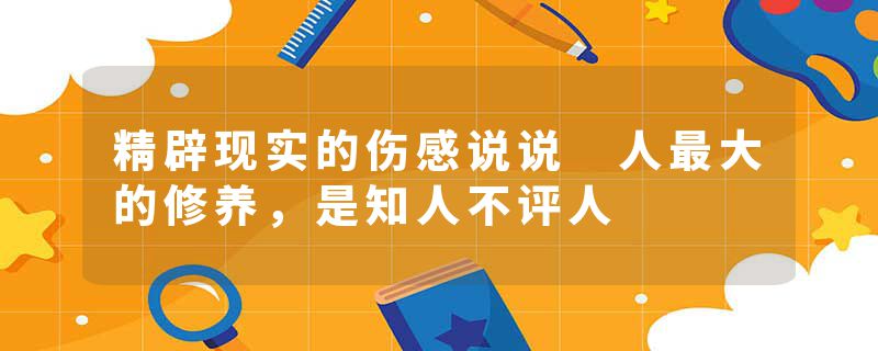 精辟现实的伤感说说 人最大的修养,是知人不评人