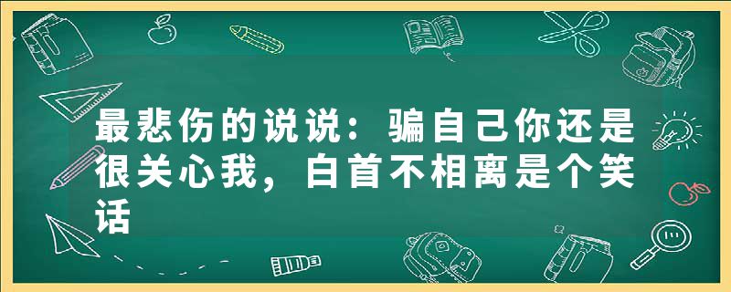 最悲伤的说说:骗自己你还是很关心我,白首不相离是个笑话
