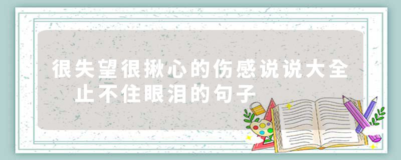 很失望很揪心的伤感说说大全 止不住眼泪的句子