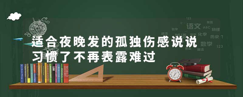 适合夜晚发的孤独伤感说说 习惯了不再表露难过