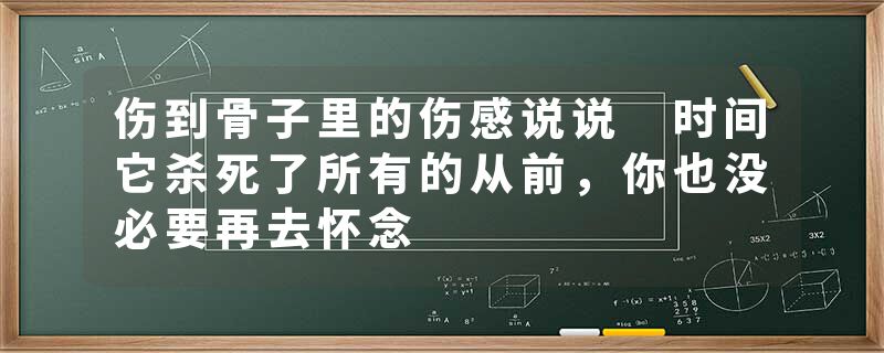 伤到骨子里的伤感说说 时间它杀死了所有的从前，你也没必要再去怀念