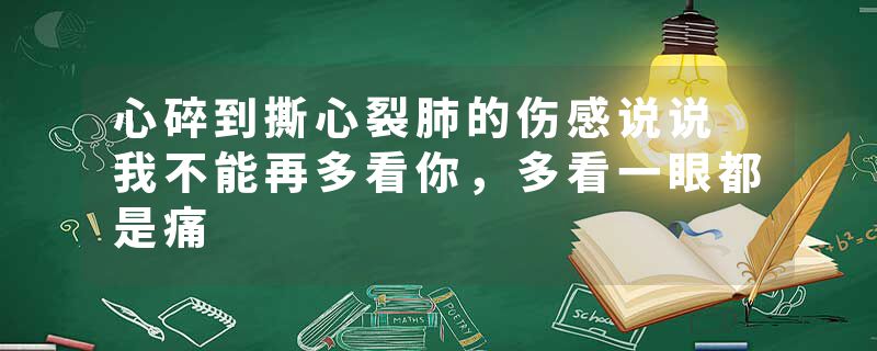 心碎到撕心裂肺的伤感说说 我不能再多看你，多看一眼都是痛