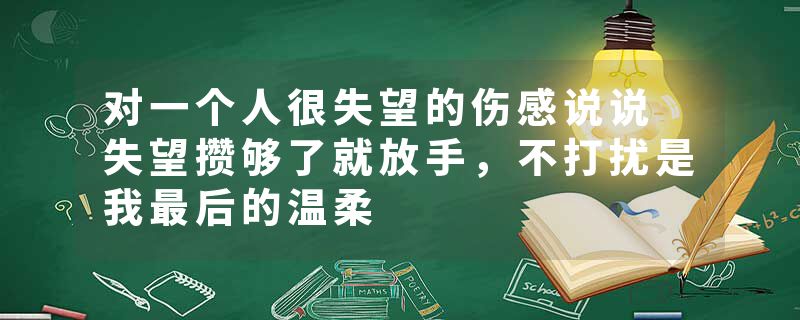 对一个人很失望的伤感说说 失望攒够了就放手，不打扰是我最后的温柔
