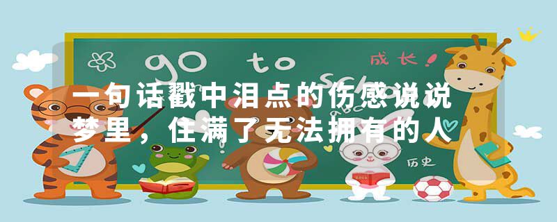 一句话戳中泪点的伤感说说 梦里,住满了无法拥有的人