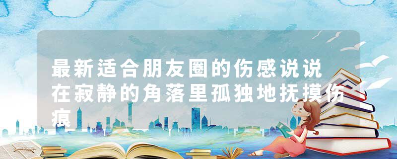 最新适合朋友圈的伤感说说 在寂静的角落里孤独地抚摸伤痕