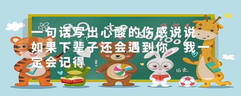 一句话写出心酸的伤感说说 如果下辈子还会遇到你，我一定会记得