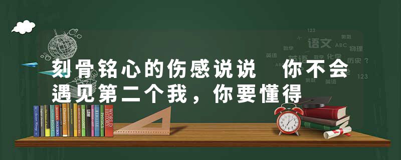 刻骨铭心的伤感说说 你不会遇见第二个我，你要懂得