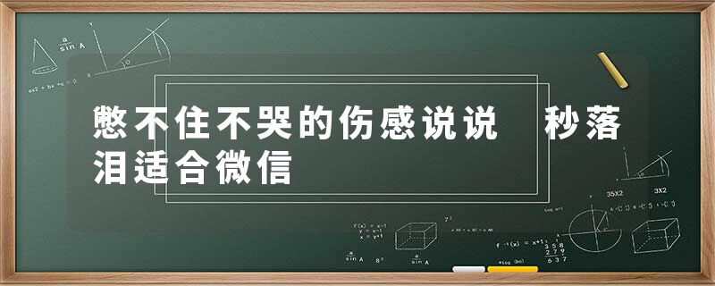 憋不住不哭的伤感说说 秒落泪适合微信