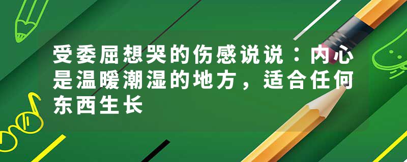 受委屈想哭的伤感说说：内心是温暖潮湿的地方，适合任何东西生长