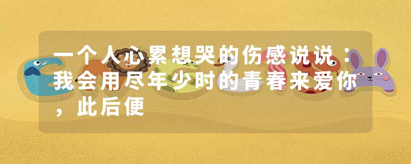 一个人心累想哭的伤感说说:我会用尽年少时的青春来爱你,此后便