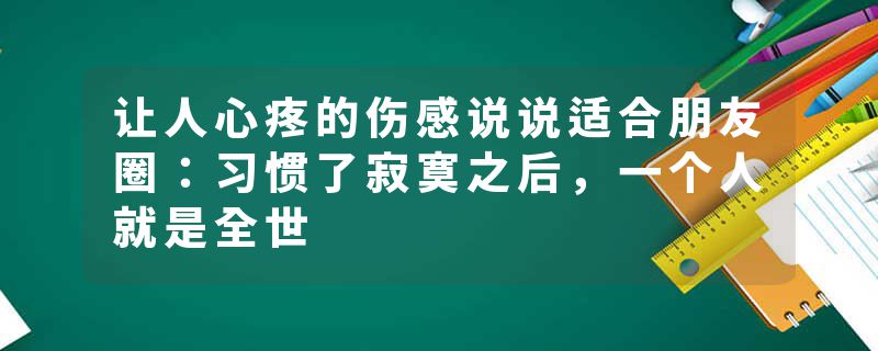 让人心疼的伤感说说适合朋友圈:习惯了寂寞之后,一个人就是全世
