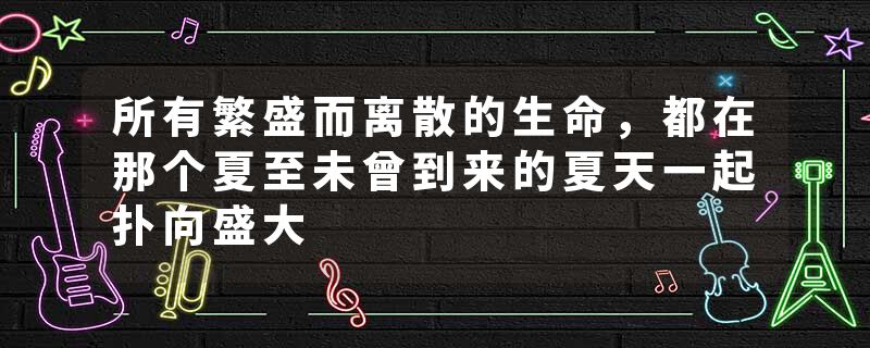 所有繁盛而离散的生命，都在那个夏至未曾到来的夏天一起扑向盛大