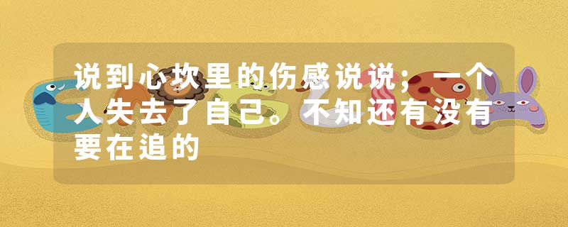 说到心坎里的伤感说说;一个人失去了自己。不知还有没有要在追的